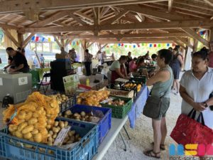 Marchés des producteurs