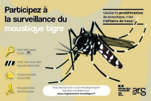 Lutte contre l’installation du moustique tigre