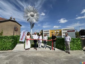 « La fleur qui veut toucher le soleil »