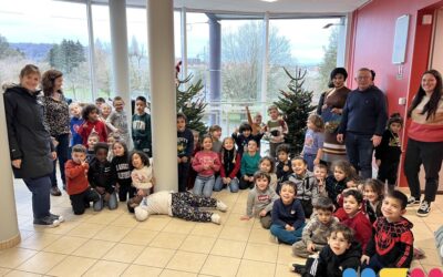 Saint-Nicolas et fêtes de Noël : des moments magiques