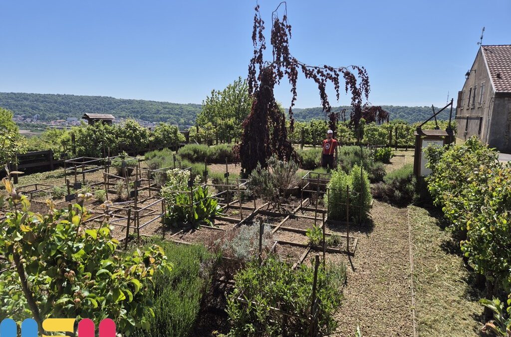 Les jardins médiévaux reprennent vie