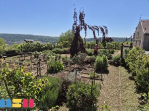 Les jardins médiévaux reprennent vie