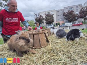 Animations et visites autour de l’habitat