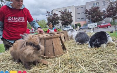 Animations et visites autour de l’habitat