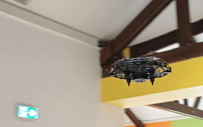 Journée intergénérationnelle avec la Mission locale