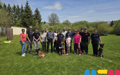 Compétition du club canin : des athlètes qui ont du chien