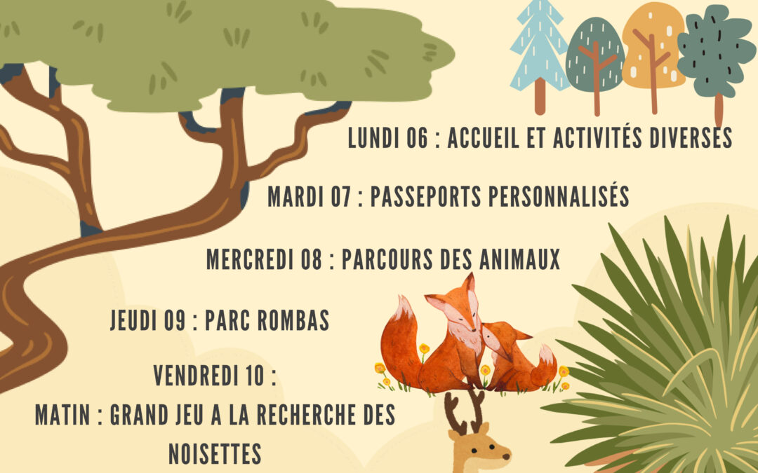 Programmes des vacances du Pôle Vie Locale